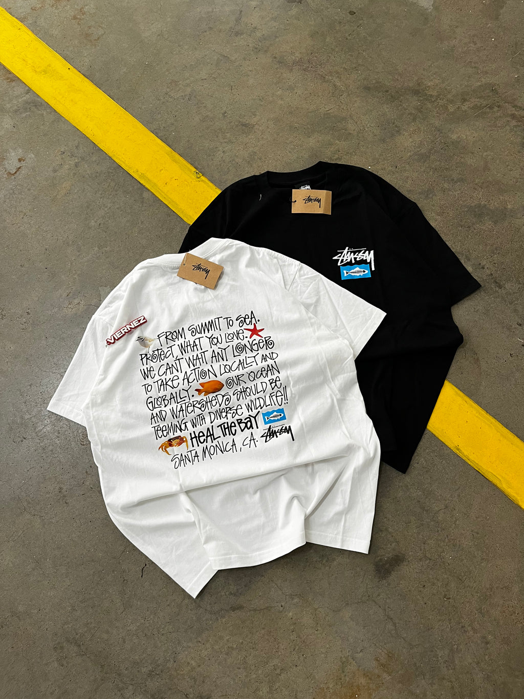 Stussy Heal the bay tee