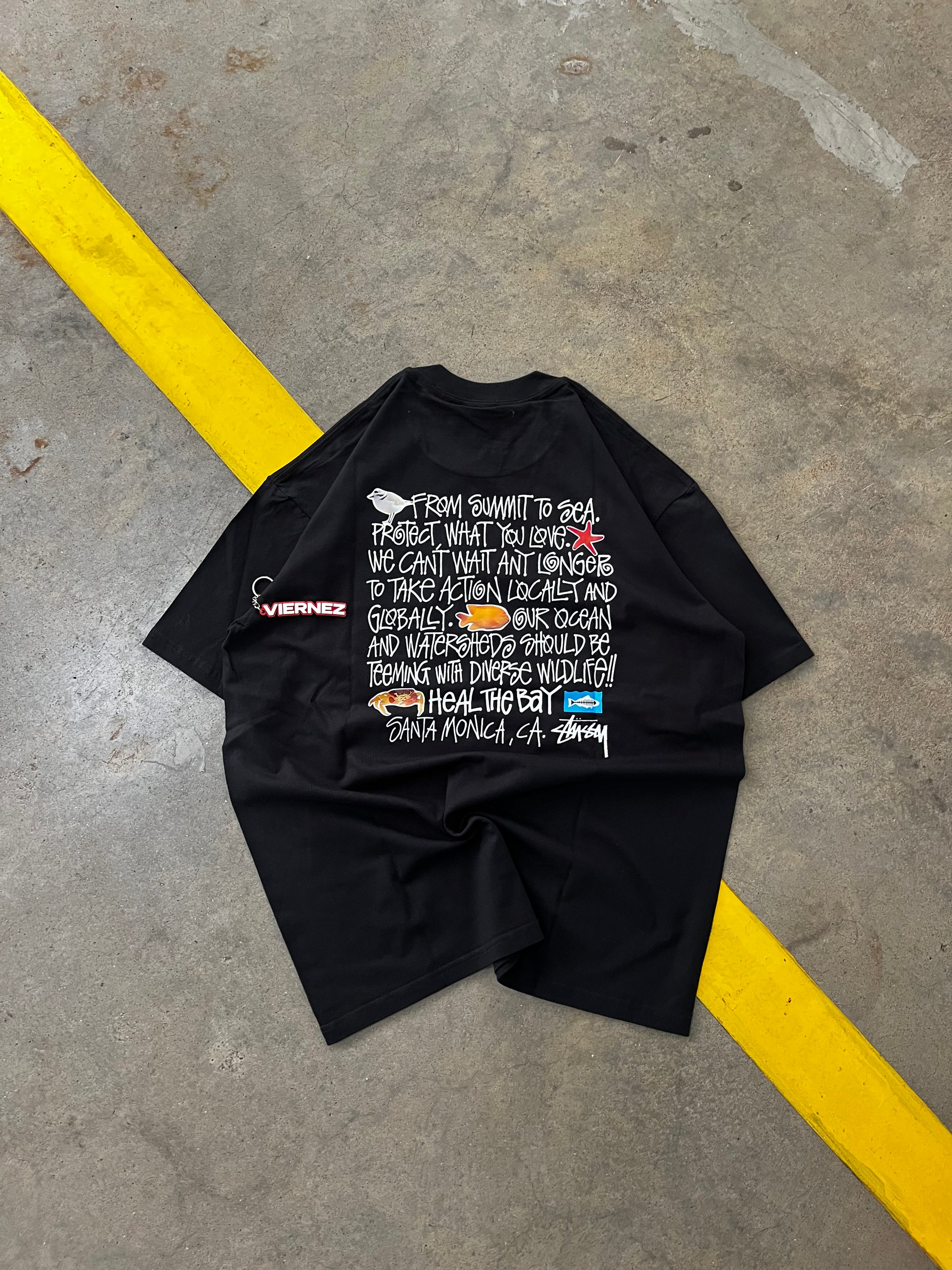 Stussy Heal the bay tee