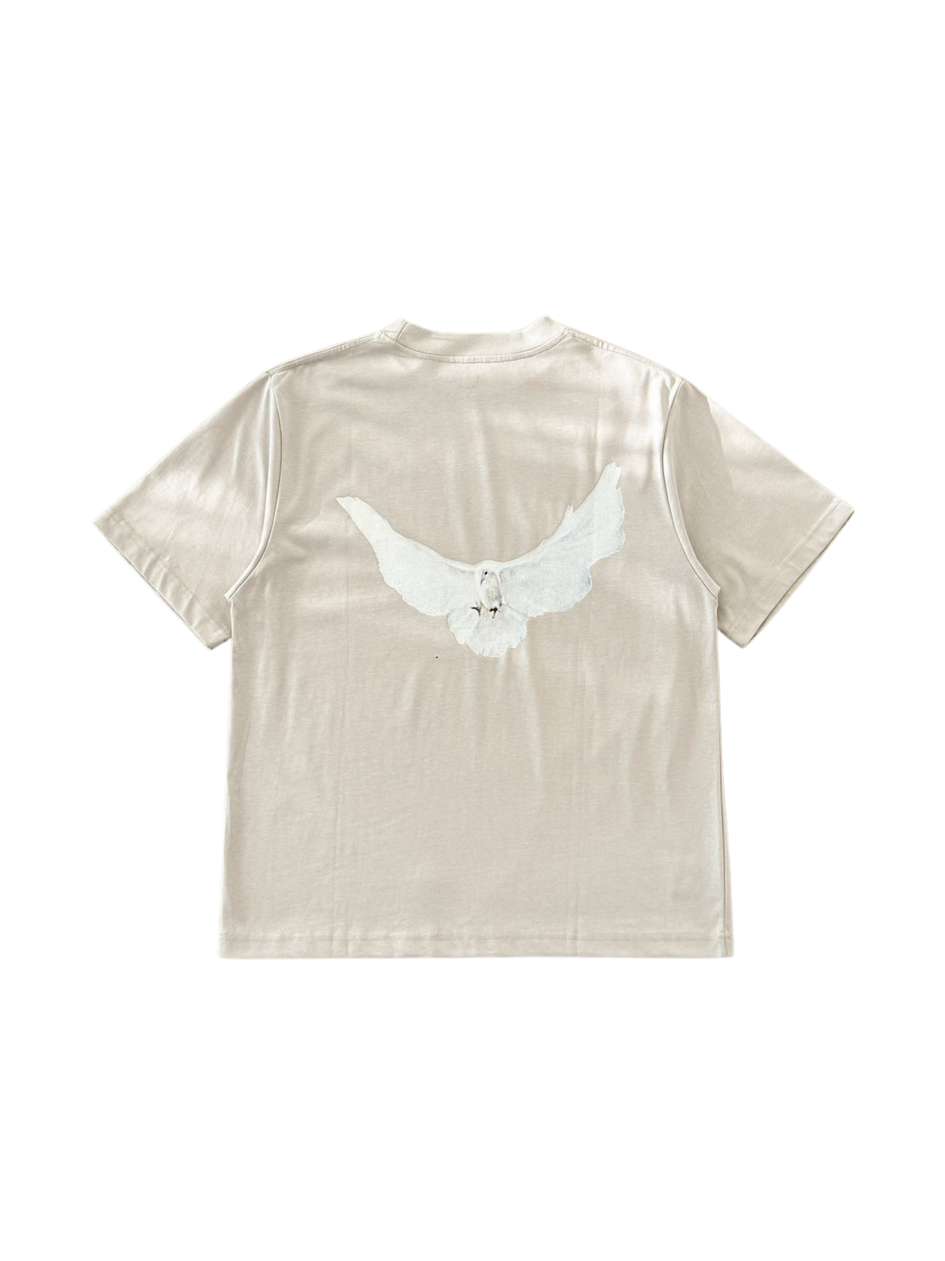 YZY Gap dove tee