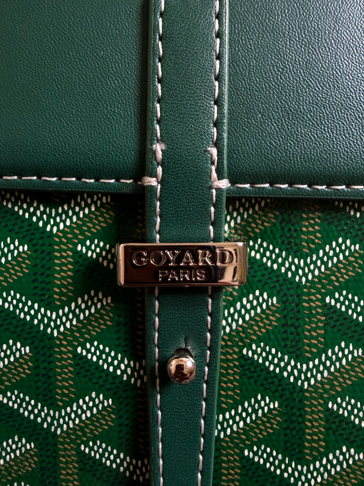 Goyard Coursier Messenger Bag in Green
