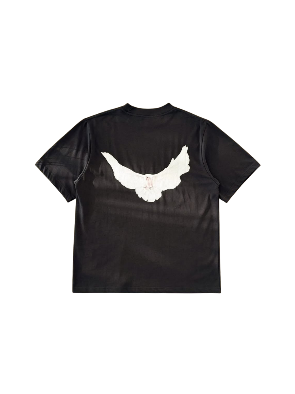 YZY Gap dove tee