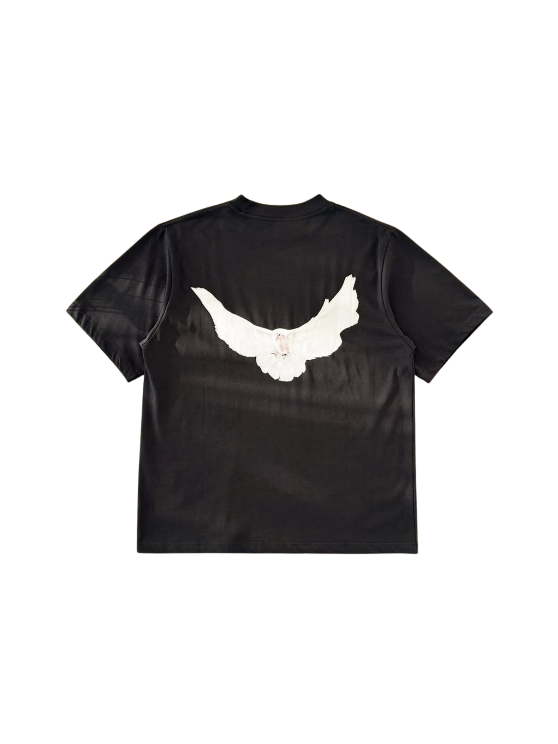 YZY Gap dove tee