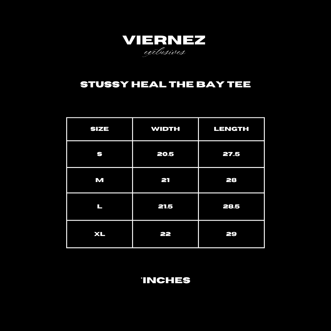 Stussy Heal the bay tee