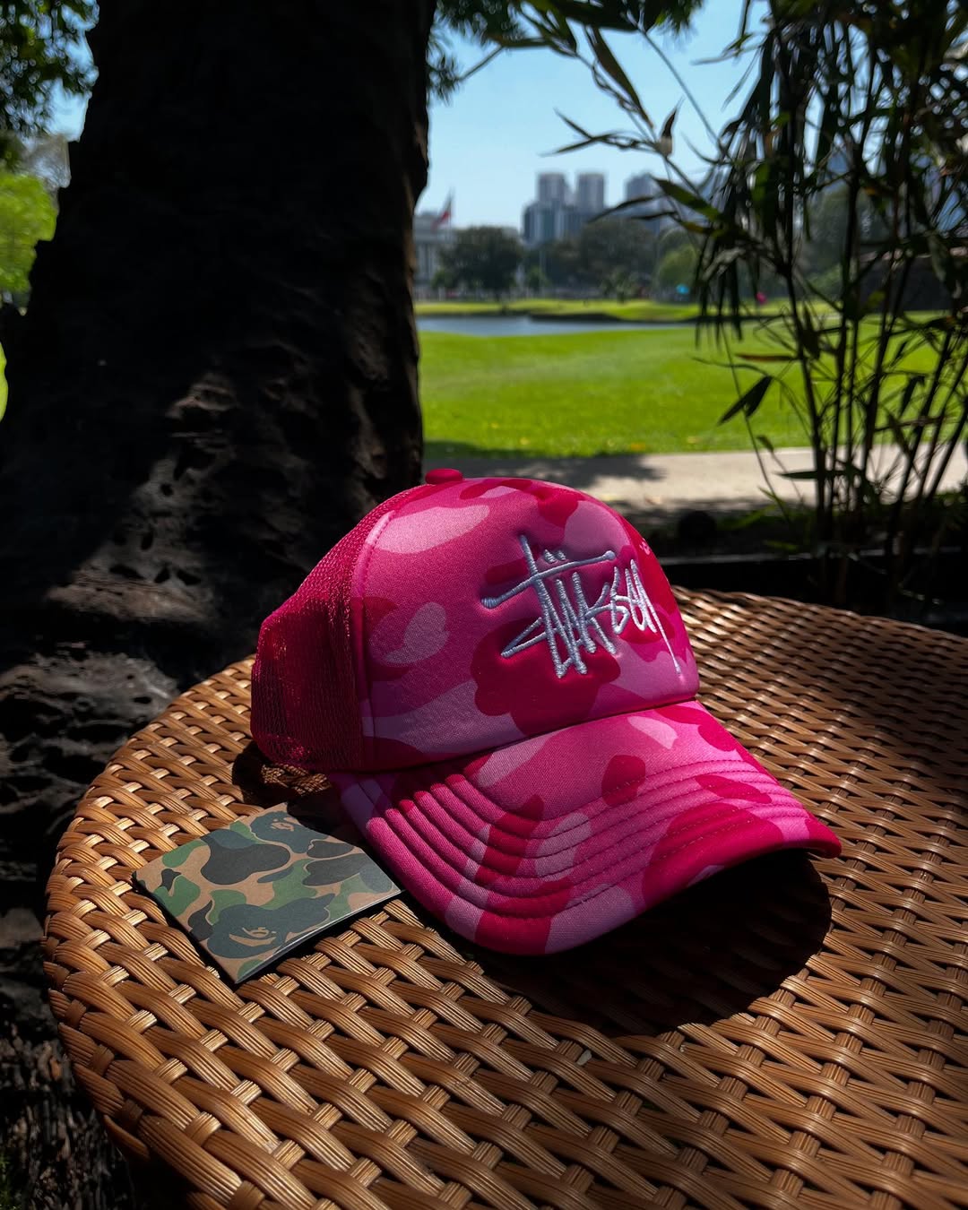 Stüśsy x Bäpe Trucker Cap